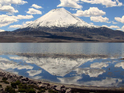 Tour Salar de Surire Parque Nacional Lauca Chile