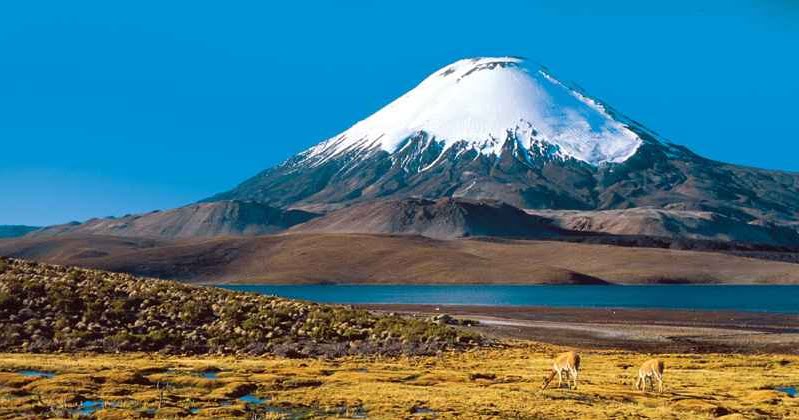 Parque Nacional Lauca Chile Tours Salar de Surire